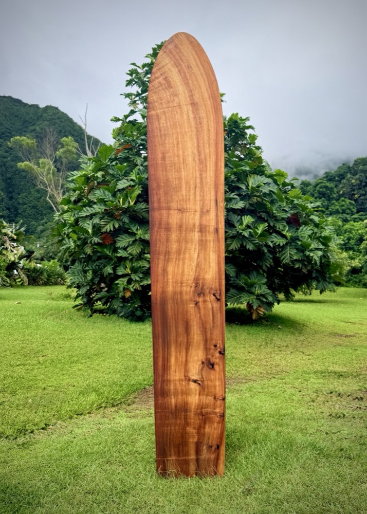 A wooden surfboard standing upright on its tail in mown grass, dark reddish brown, with figure curling across the width and several dark knots low on the board. A green ridge under cloud behind it.
